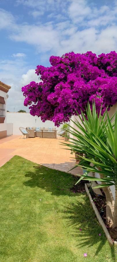 Chalet Hercules la barrosa Chiclana de la Frontera Extérieur photo